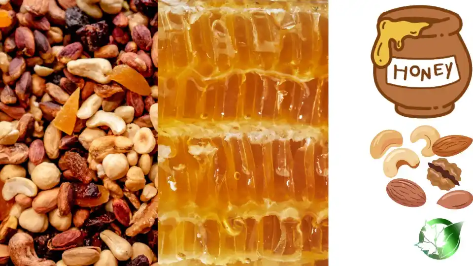 Honey Mix Nuts quality, format, and packaging should be matched to the buyer’s target application.
